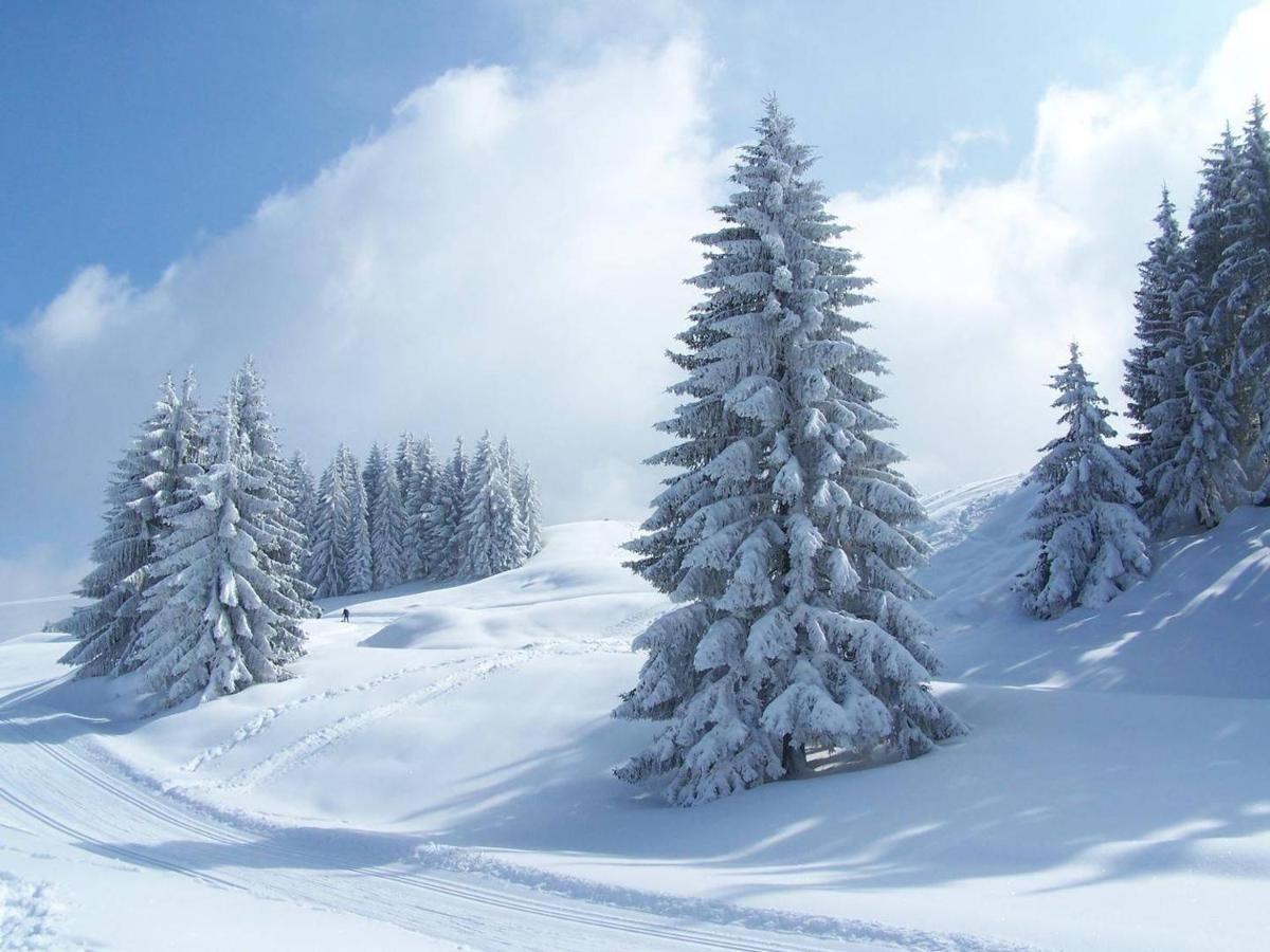 Hotel Mont Thabor Serre Chevalier La Salle-les-Alpes Ngoại thất bức ảnh